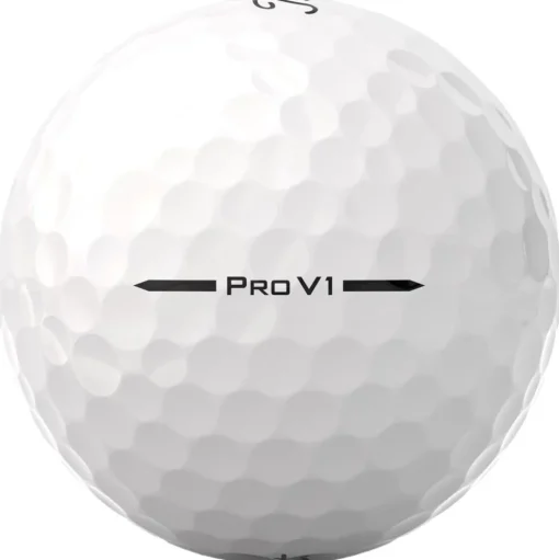 Balles neuves Titleist Pro V1 81-100
