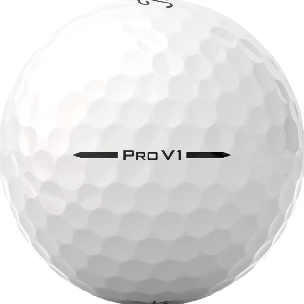 Balles neuves Titleist Pro V1 81-100