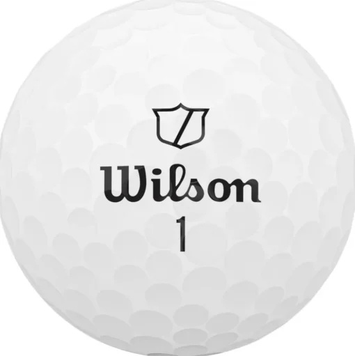 Balles neuves Wilson Duo Soft Track 360