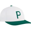 Casquette Puma Golf Crafted P Cap Warm White Dark Myrtle