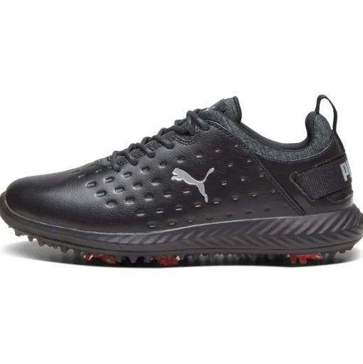 Chaussures avec crampons Puma Golf Ignite Blaze Pro Black