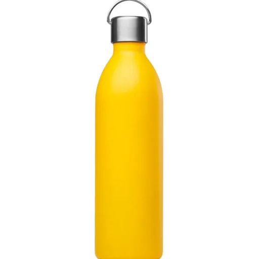 Gourde Qwetch Active 1L Matt Curry