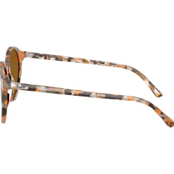 Lunettes de soleil Ray Ban RB2230 Bernard Polished Havana Grey Brown Brown