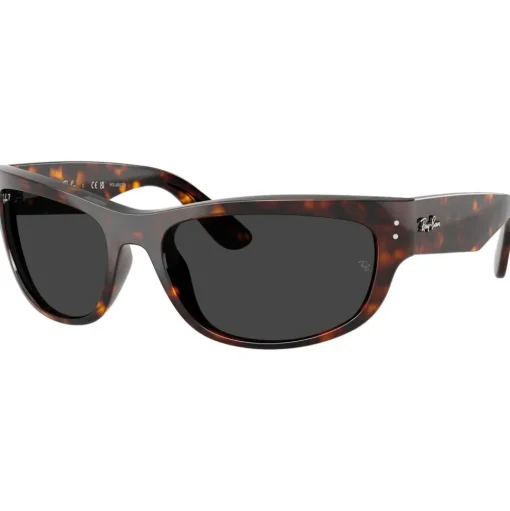 Lunettes de soleil Ray Ban RB2289 Mega Balorama Polished Havana Polar Black