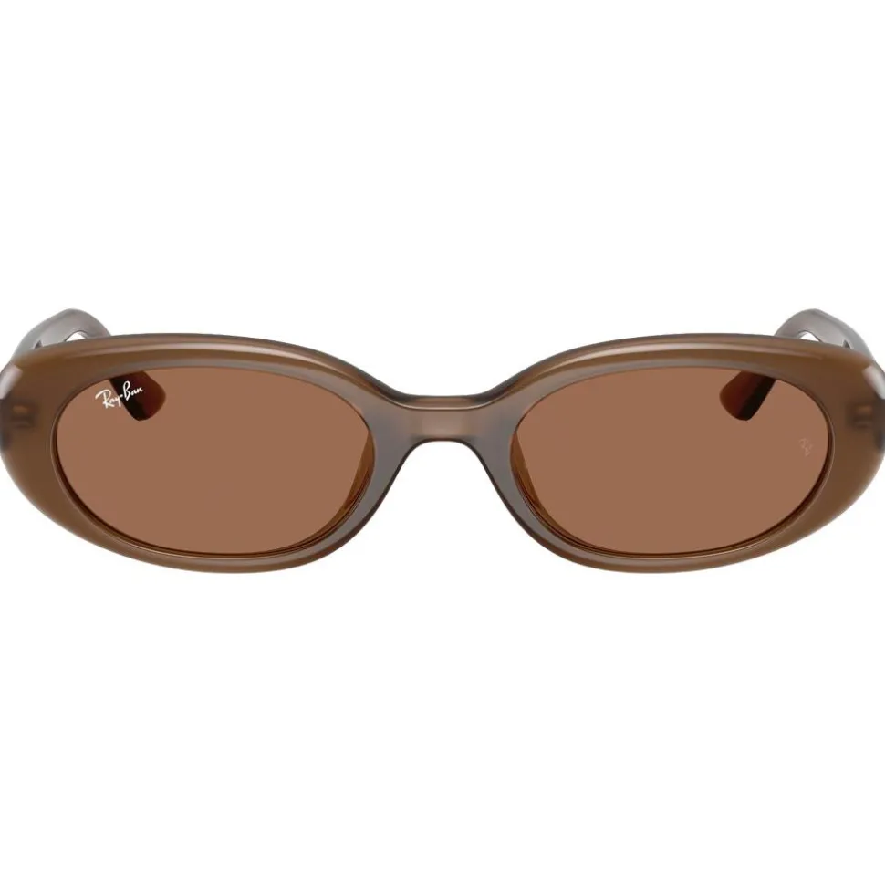 Lunettes de soleil Ray Ban RB4441D Matte Brown Opaline Dark Brown