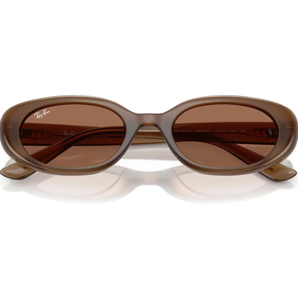 Lunettes de soleil Ray Ban RB4441D Matte Brown Opaline Dark Brown
