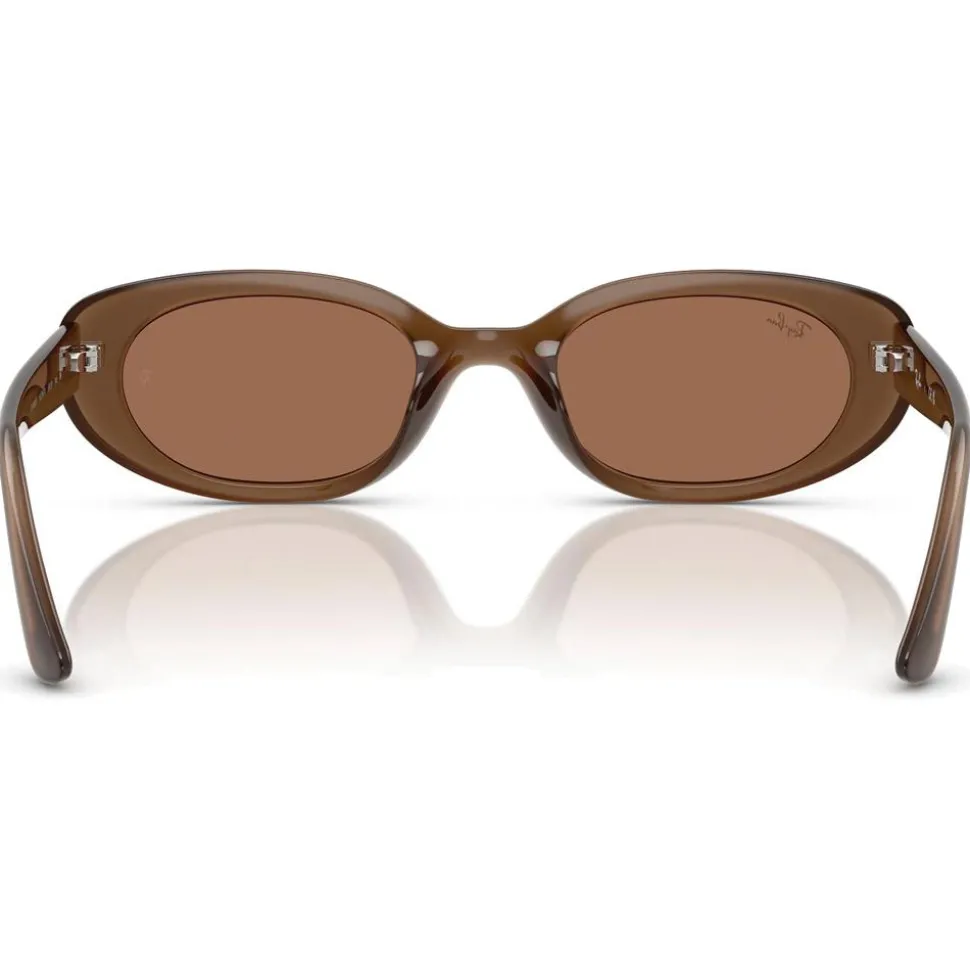 Lunettes de soleil Ray Ban RB4441D Matte Brown Opaline Dark Brown