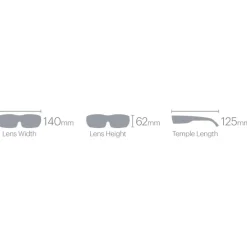 Lunettes de soleil Smith Wildcat Matte Black Chromapop Black