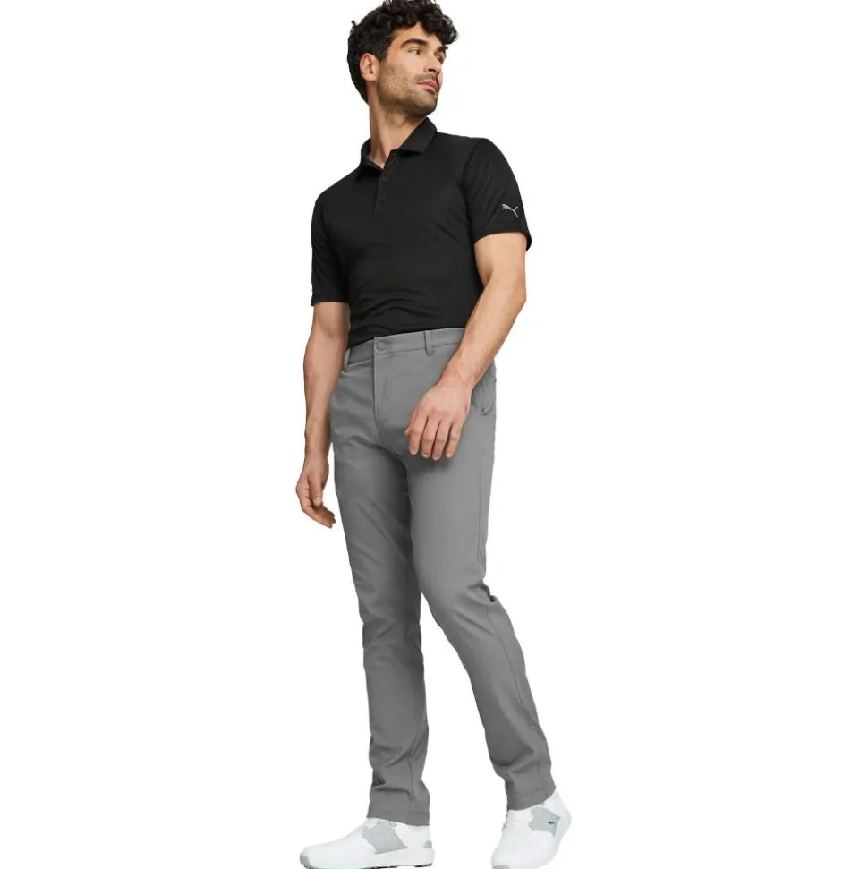 Pantalon Puma Golf Dealer TLD Gray