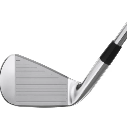 Serie de fers Mizuno PRO 245
